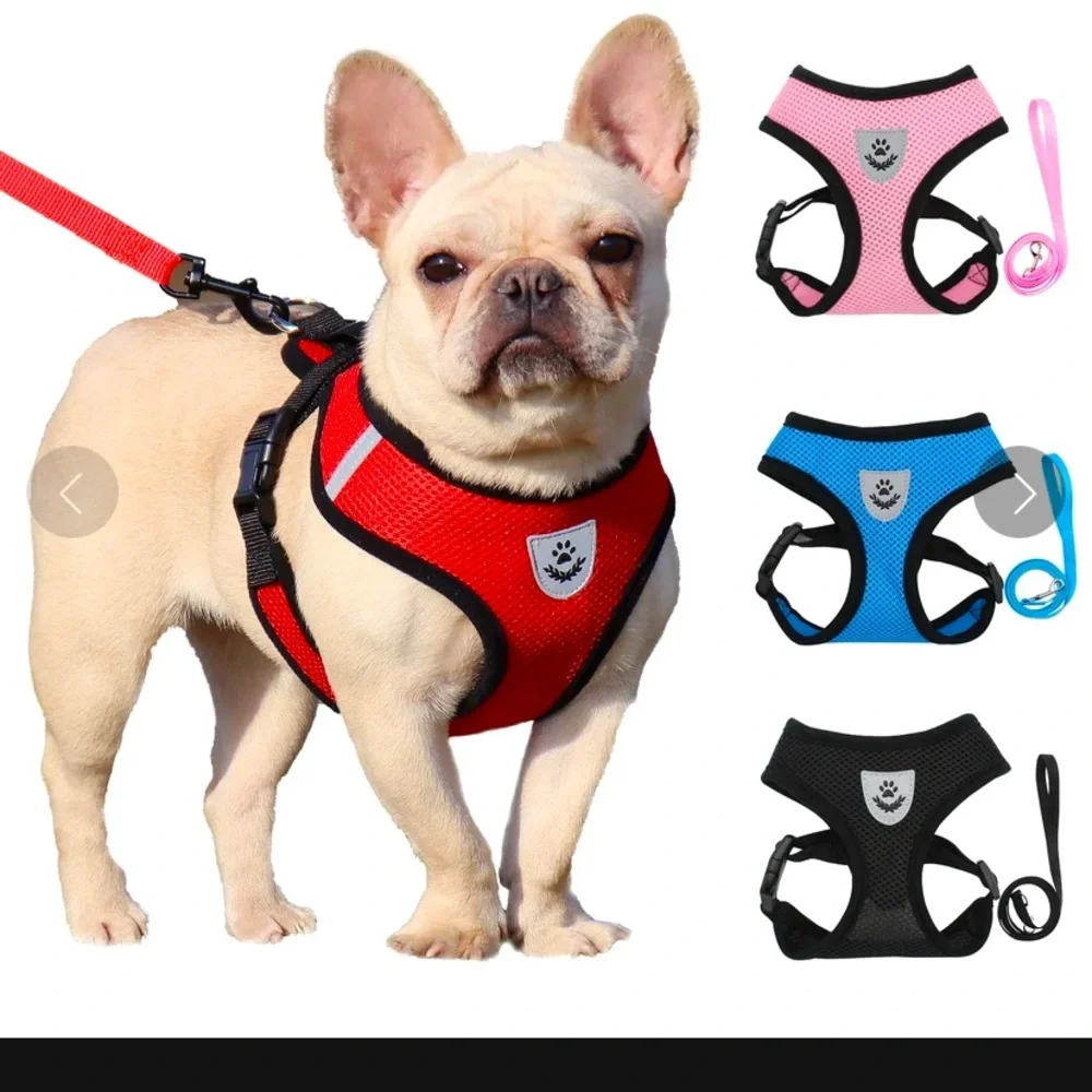 NWT Comfort Dog Harness Leash Bundle Set - Picture 2 of 6